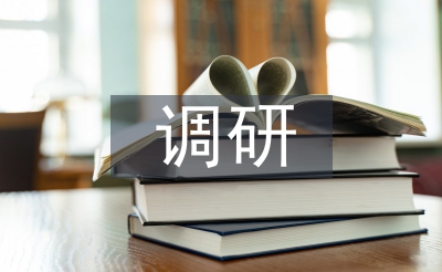 罕见的调研体例