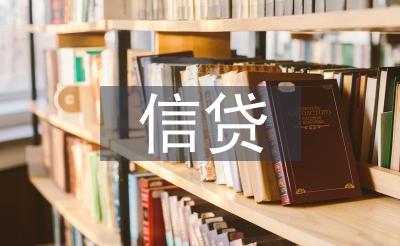 信贷档案自查使命总结